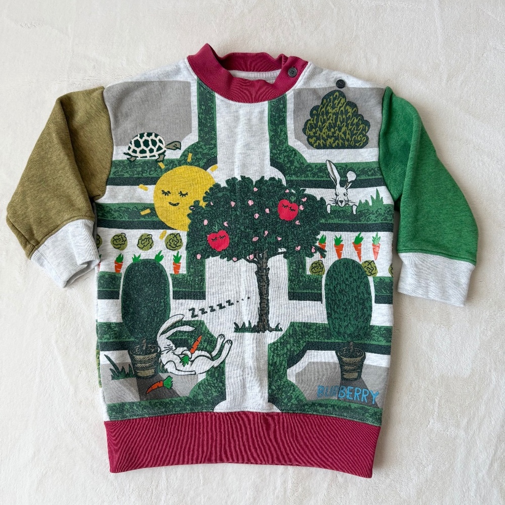 Burberry Garden Maze Colorblock sweatshirt Dress 18m